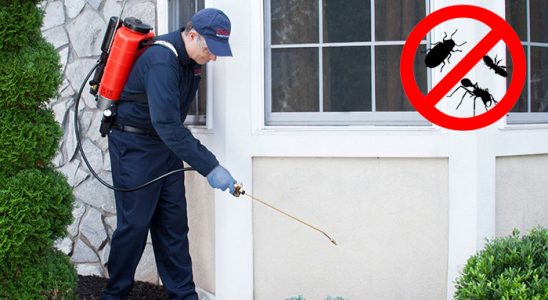 Kızılcahamam Bit İlaçlama böcek ilaçlama ve haşere kontrolü — ilaclama-tr.com